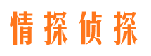 台儿庄侦探